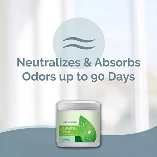 SMELLS BEGONE Odor Absorbing Gel — Calming Rain, 2-Pack — view 2