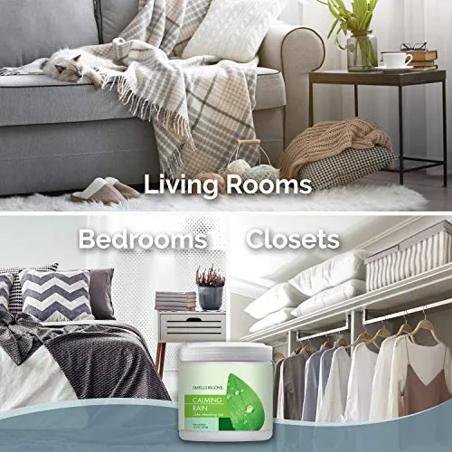 SMELLS BEGONE Odor Absorbing Gel — Calming Rain, 2-Pack — view 3
