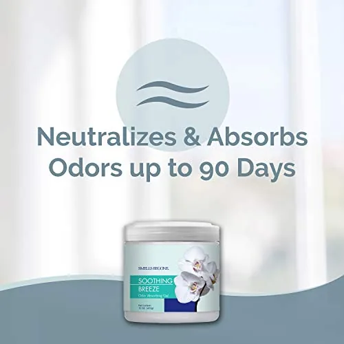 SMELLS BEGONE Odor Absorbing Gel — Soothing Breeze, 2-Pack — view 2