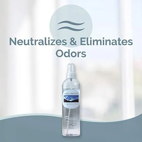 SMELLS BEGONE Odor Eliminator Spray — Fragrance Free, 12 oz 2-Pack — view 2