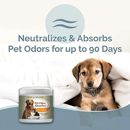 SMELLS BEGONE Pet Odor Absorber — Citrus, 2-Pack — view 2
